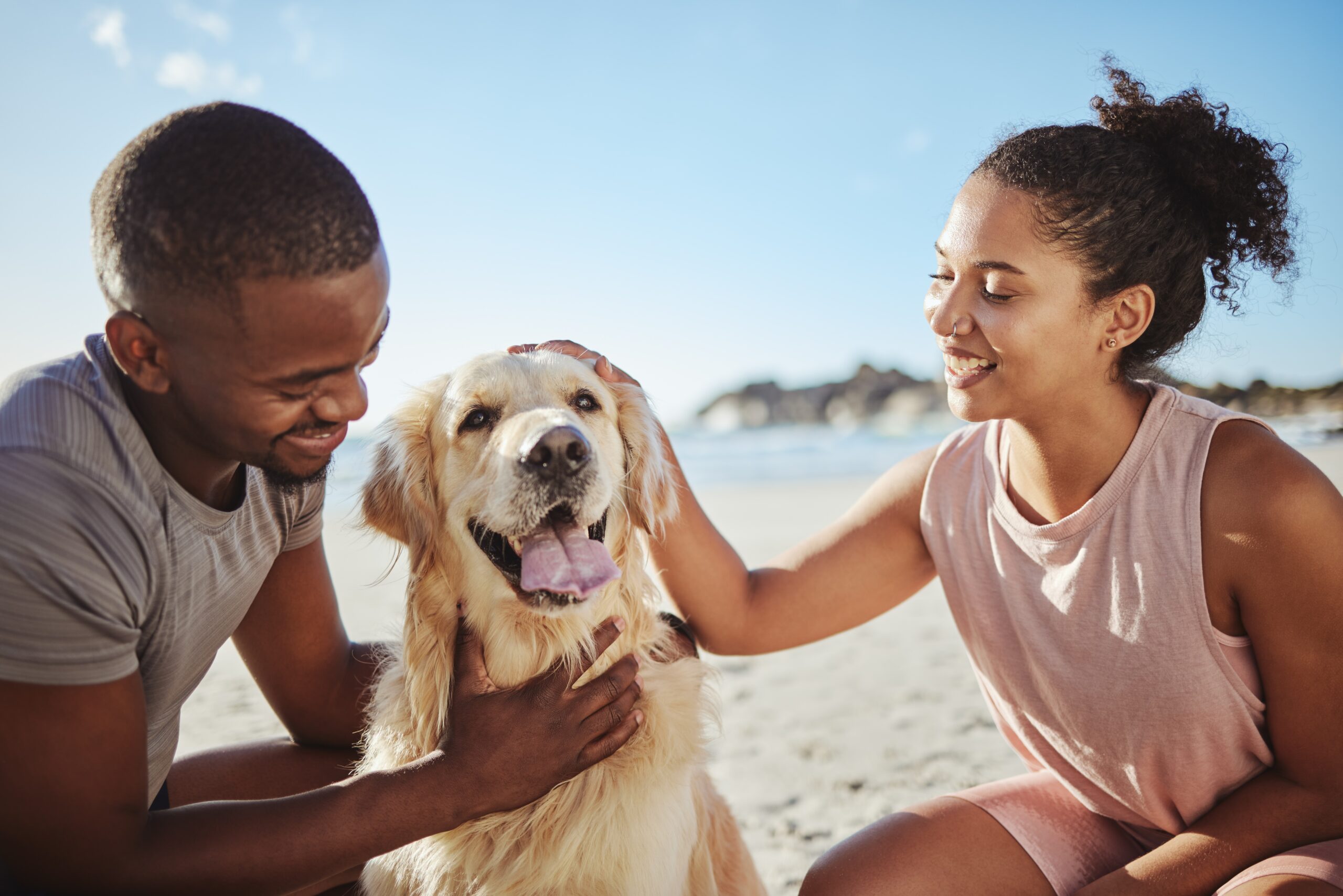 Relax,,Couple,And,Dog,At,A,Beach,,Happy,And,Smile